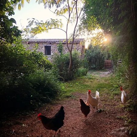 La Chataigne Perchee, Piscine Et Nature