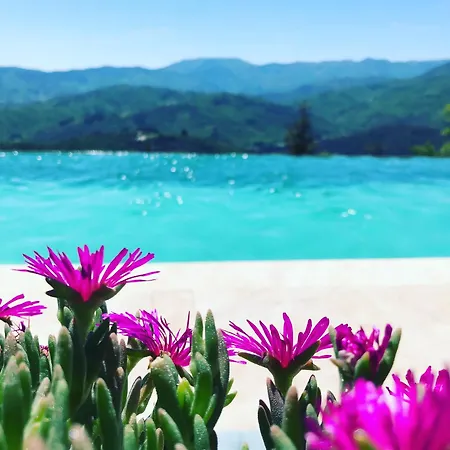 La Chataigne Perchee, Piscine Et Nature * Chirols