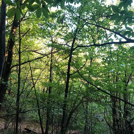La Chataigne Perchee, Piscine Et Nature